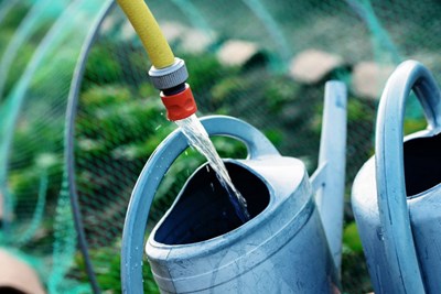 Plant Sale Fund Raiser!