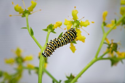 June is a big month!