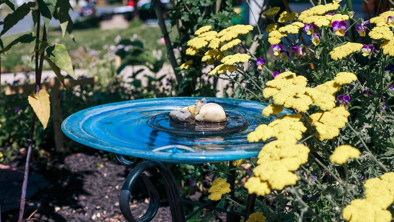 Lansdale Area Open Gardens