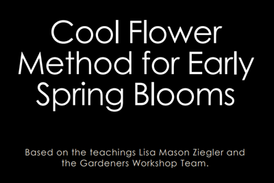 Plant in the Fall and Enjoy in the Spring!