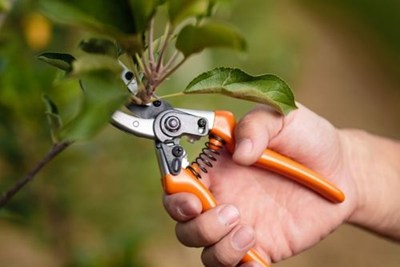 Sharpen Your Shears Lansdale!