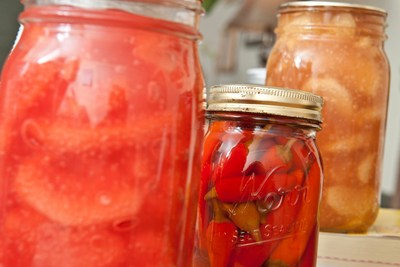Introduction to Food Preservation!